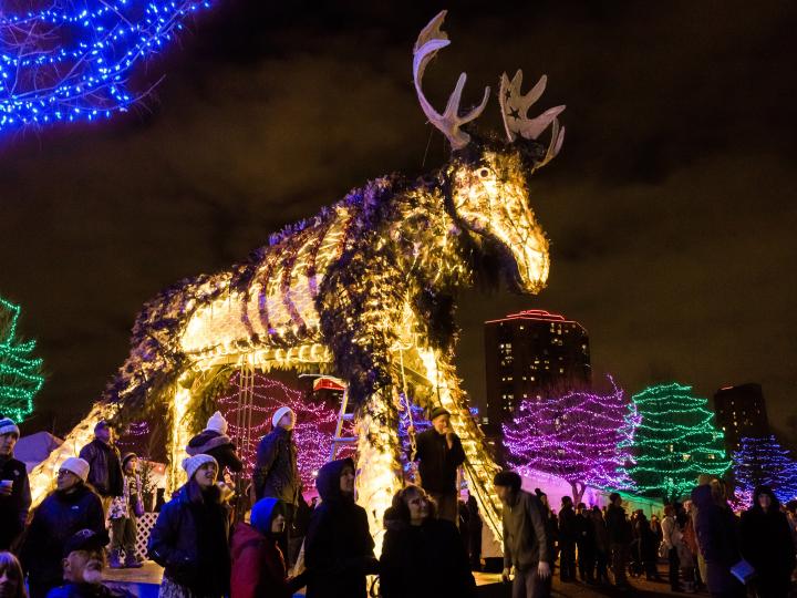 Un élan brillant de mille feux lors du HoliDazzle