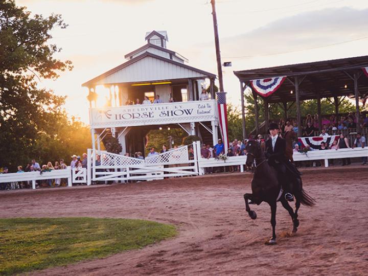 Horse and rider competing in the Shelbyville Horse Show in Shelbyville, Kentucky 