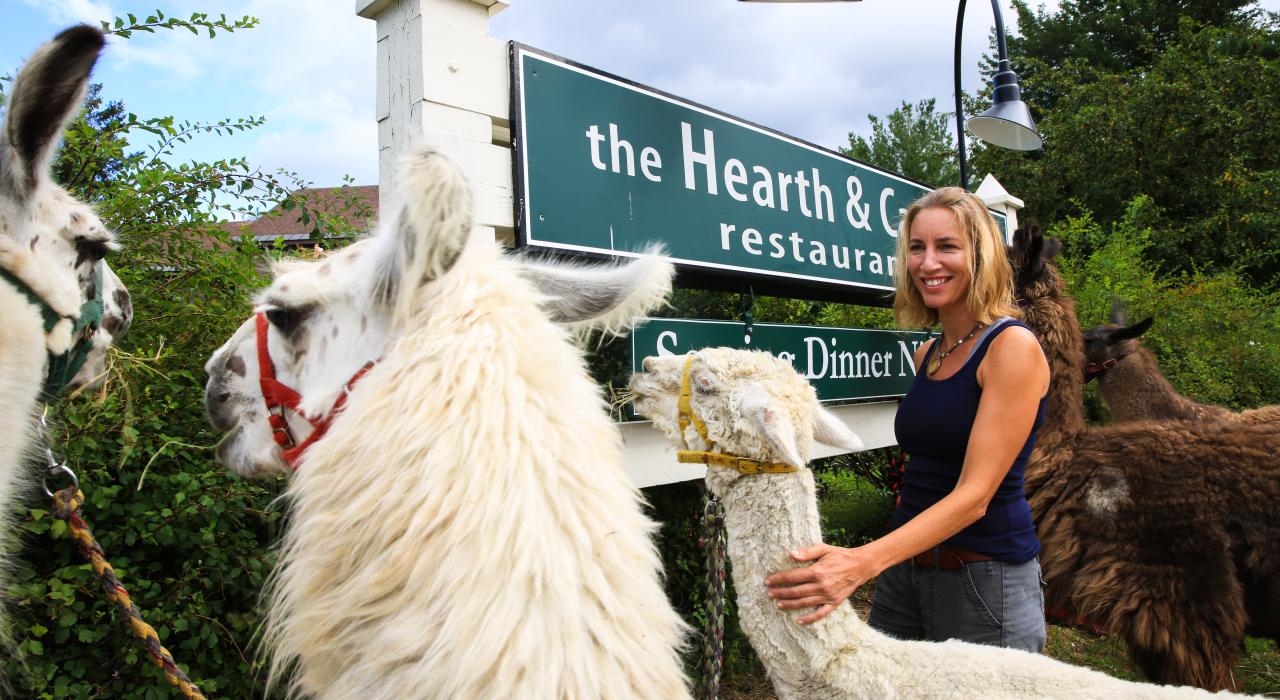Llama Trek no Smugglers Notch Resort, Vermont 