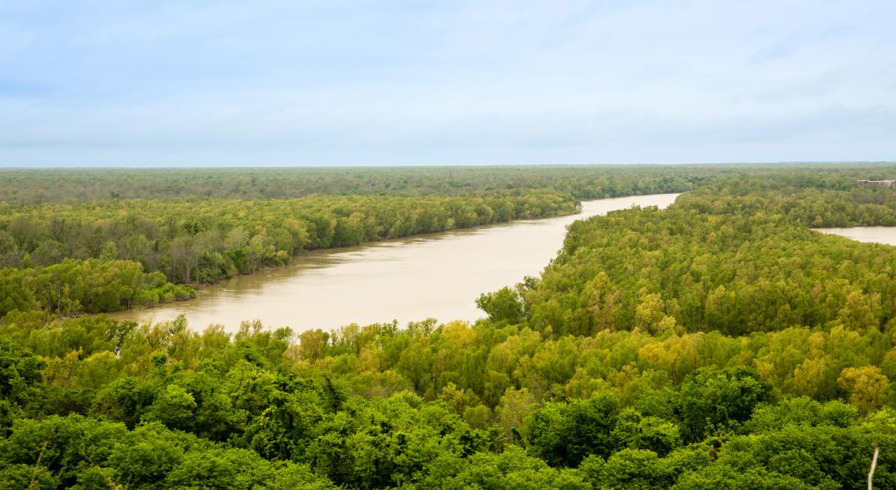 Vistas del Mississippi River desde la Natchez Trace Parkway