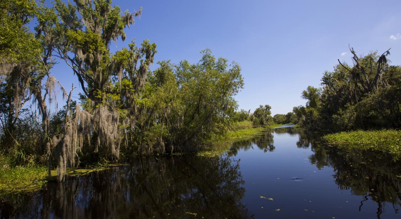 Zam’s Swamp Tour à Thibodaux, Louisiane