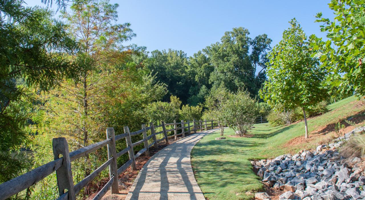 Lush greenery in Morgan Falls Overlook Park in Sandy Springs, Georgia