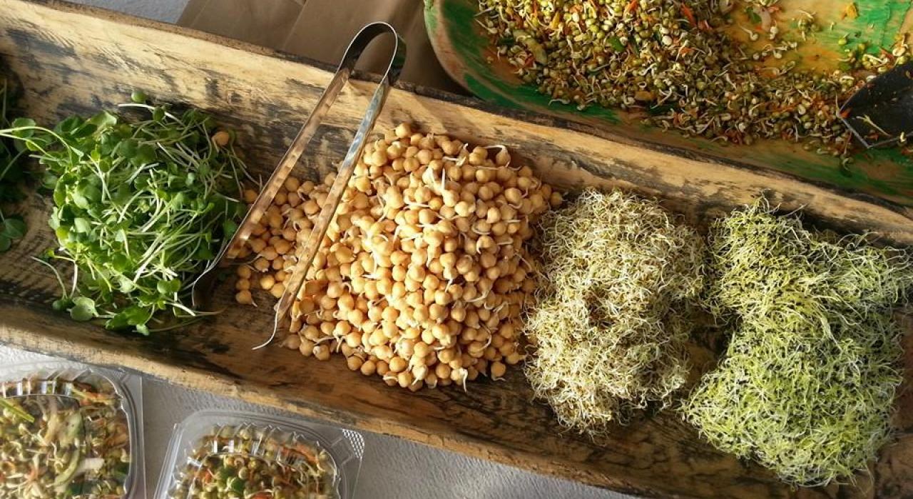 Market at the Horse Farm