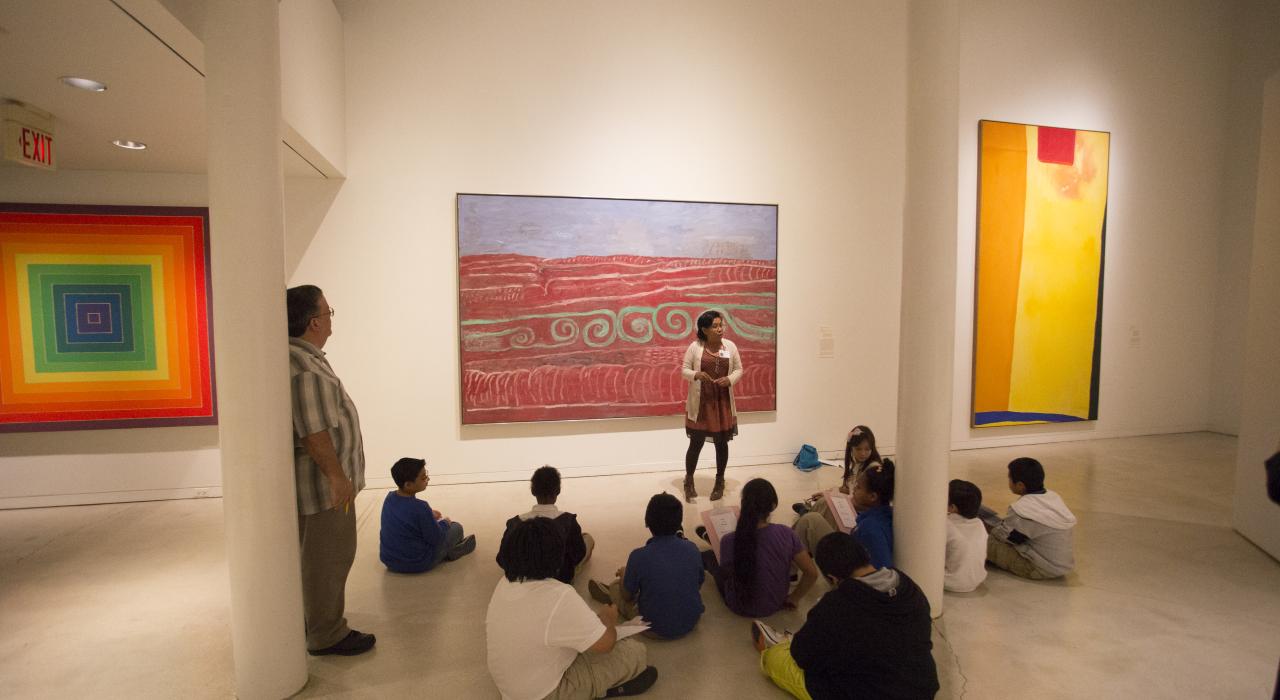 San Antonio Museum of Art in Texas