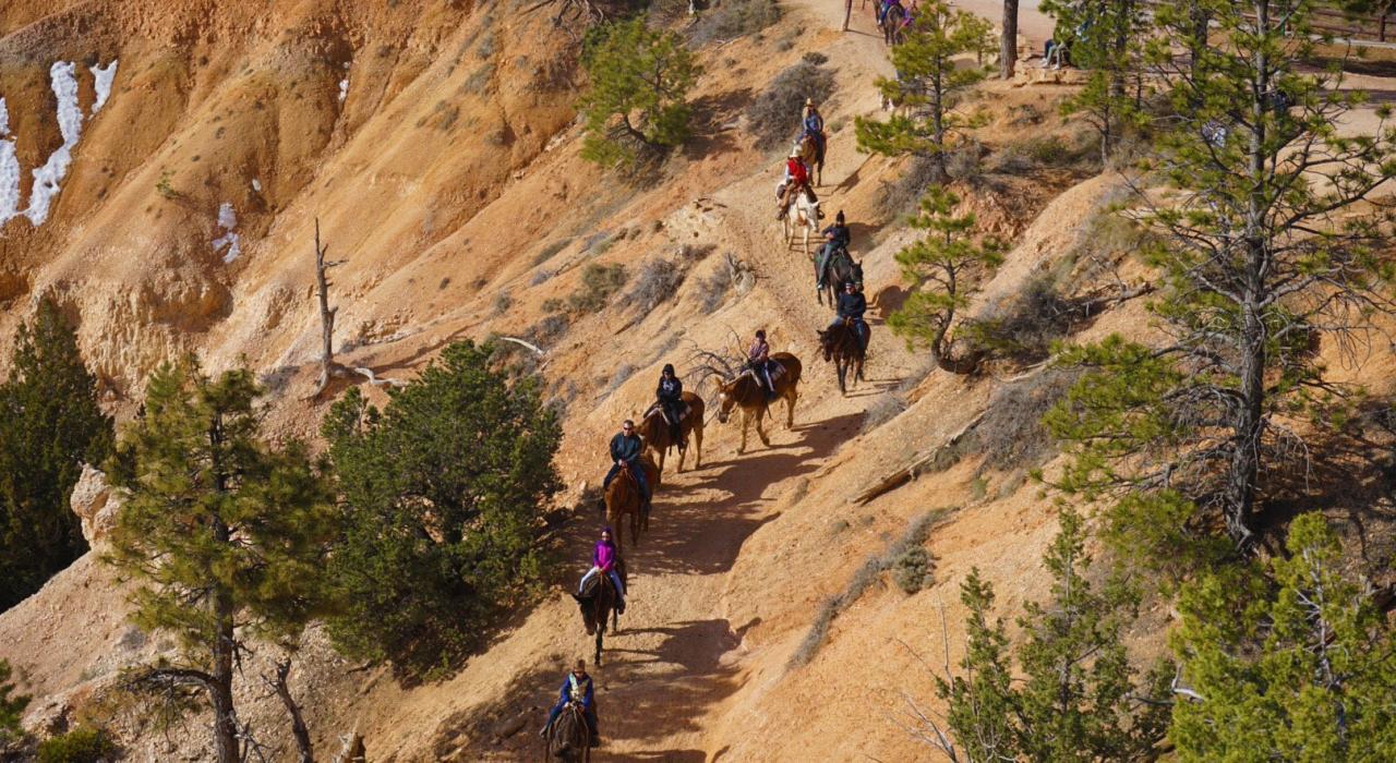 Riding horses into Bryce Canyon, Bryce Canyon National Park, Utah