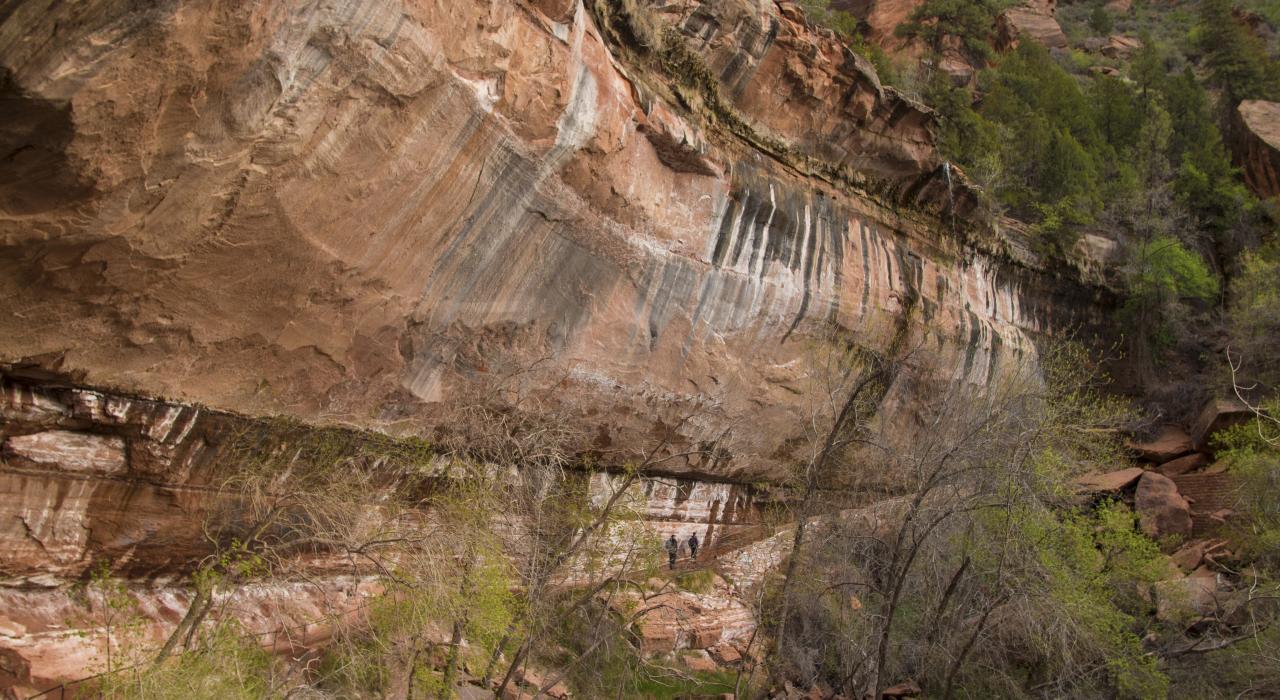 Weeping Rock at Zion National Park, Utah