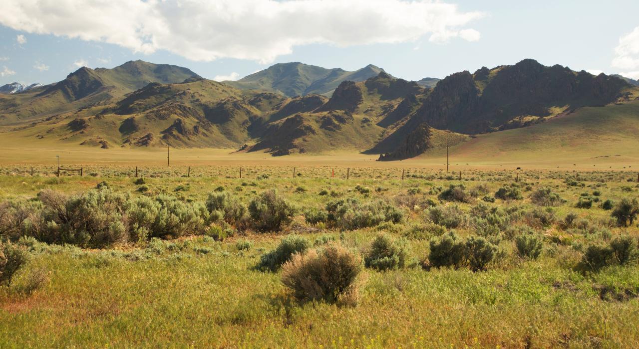 Nevada's dreamy mountain landscape near Lake Tahoe