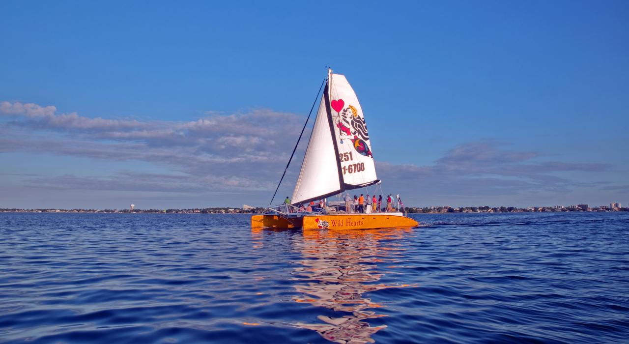 Navigation côtière à bord du catamaran Wild Hearts