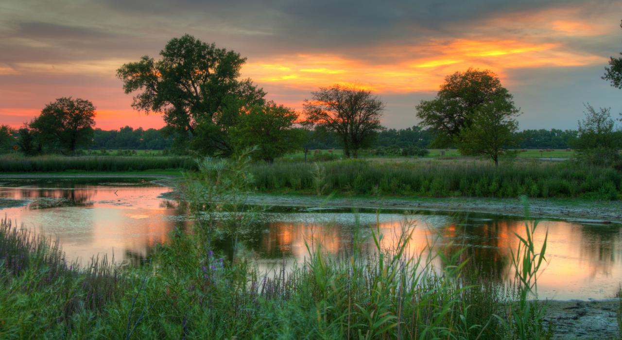 플랫 강 주변을 감싸는 고요한 풍경을 물들이는 석양