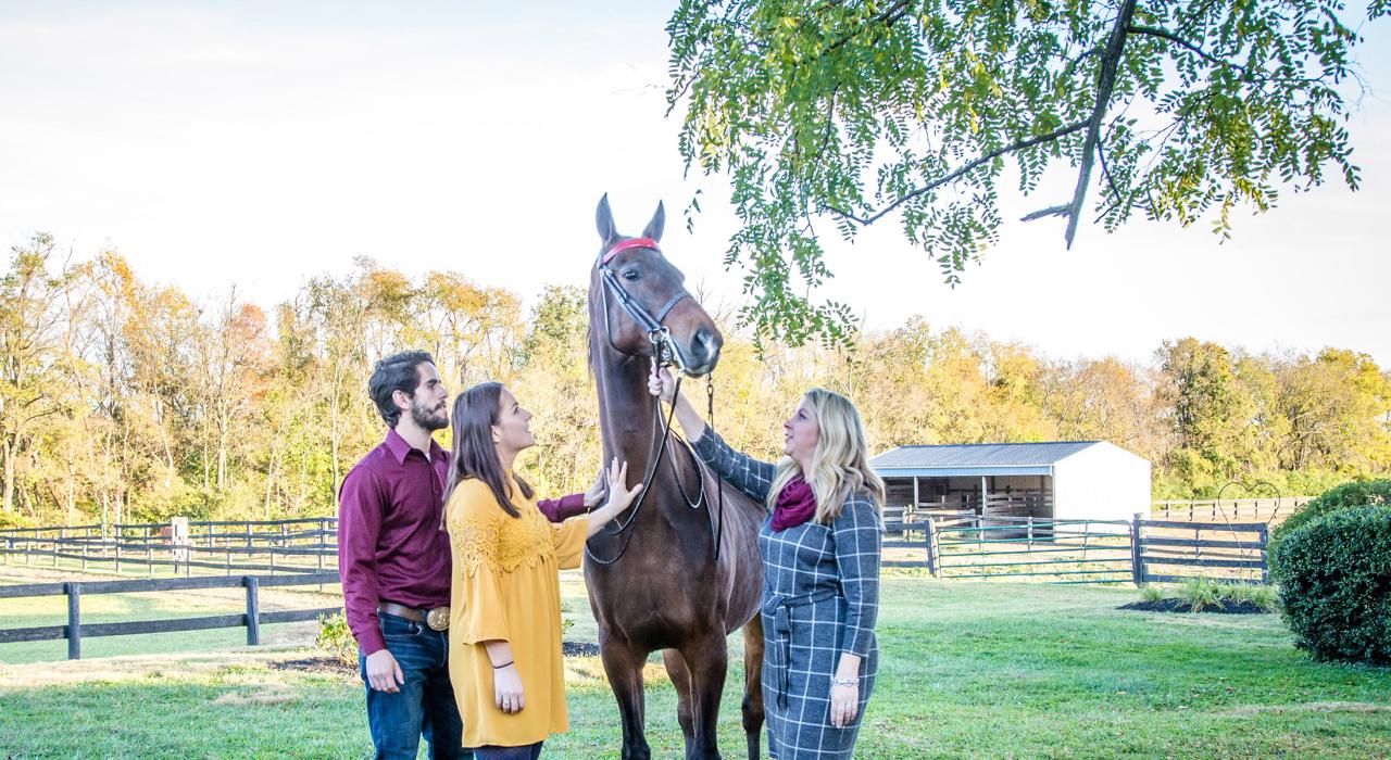 Petting a gentle American Saddlebred at a horse farm