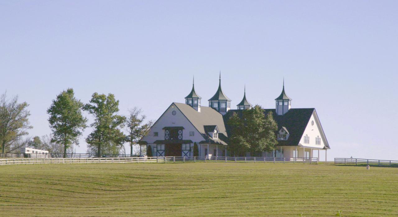 A rolling horse pasture in Lexington, Kentucky