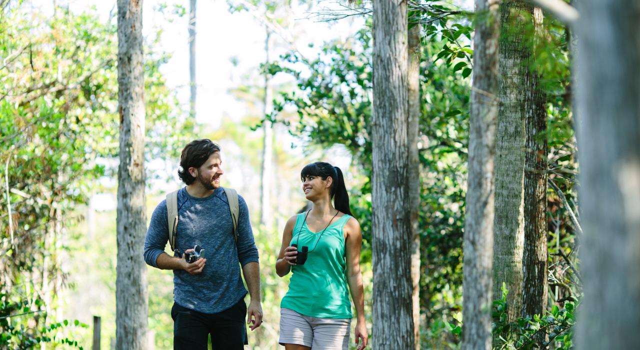 Naturwanderung im Grassy Waters Preserve