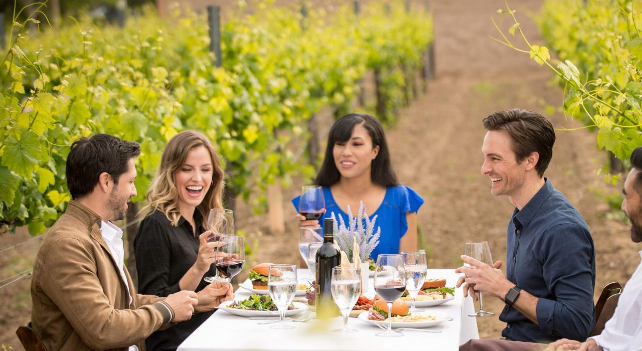 サウス・コースト・ワイナリー・リゾート&スパのブドウ畑でワインディナー