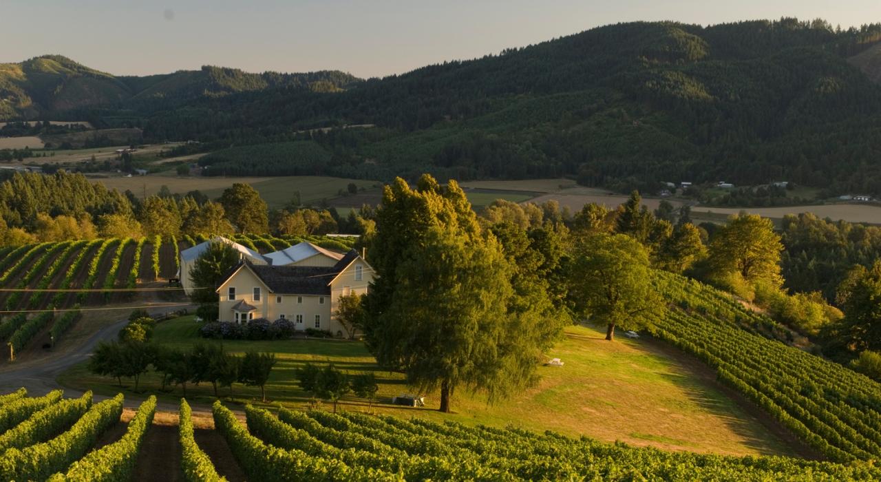 オレゴン州フォレストグローブのデビッドヒルのぶとう園