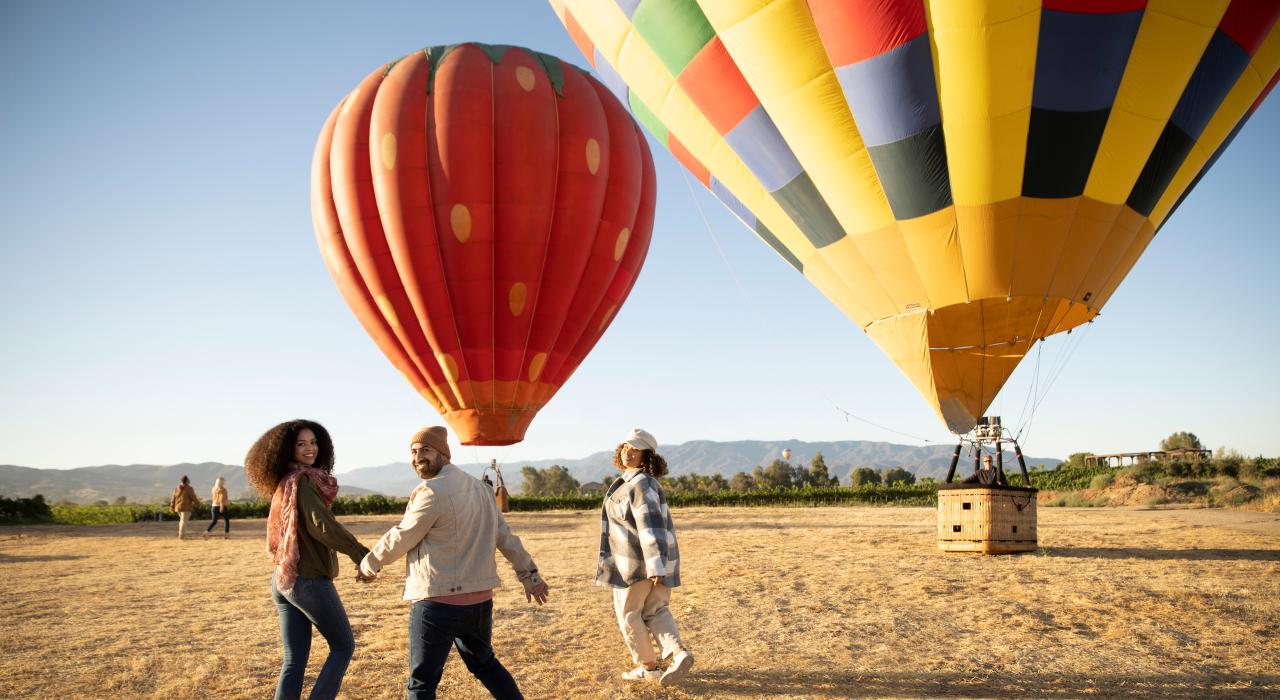 グレープエスケープ・バルーンアドベンチャーで、ブドウ園を上空から遊覧する穏やかなフライトをお楽しみください
