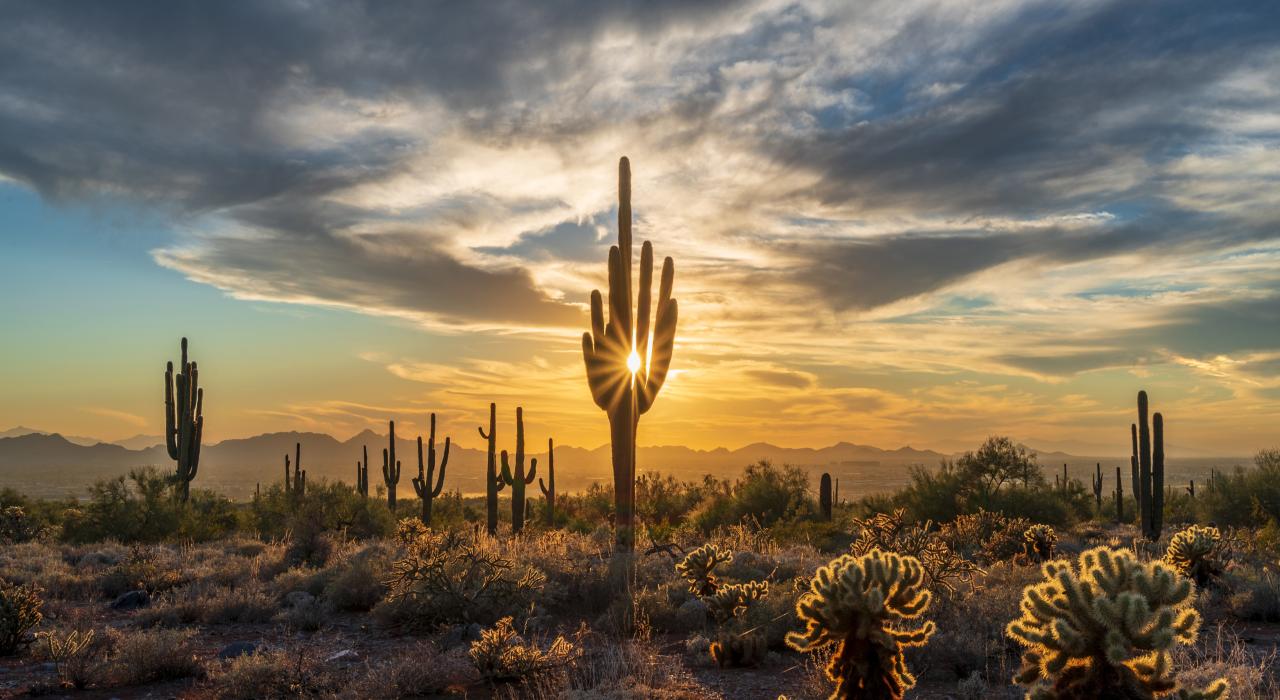 Sunset in the scenic Sonoran Desert