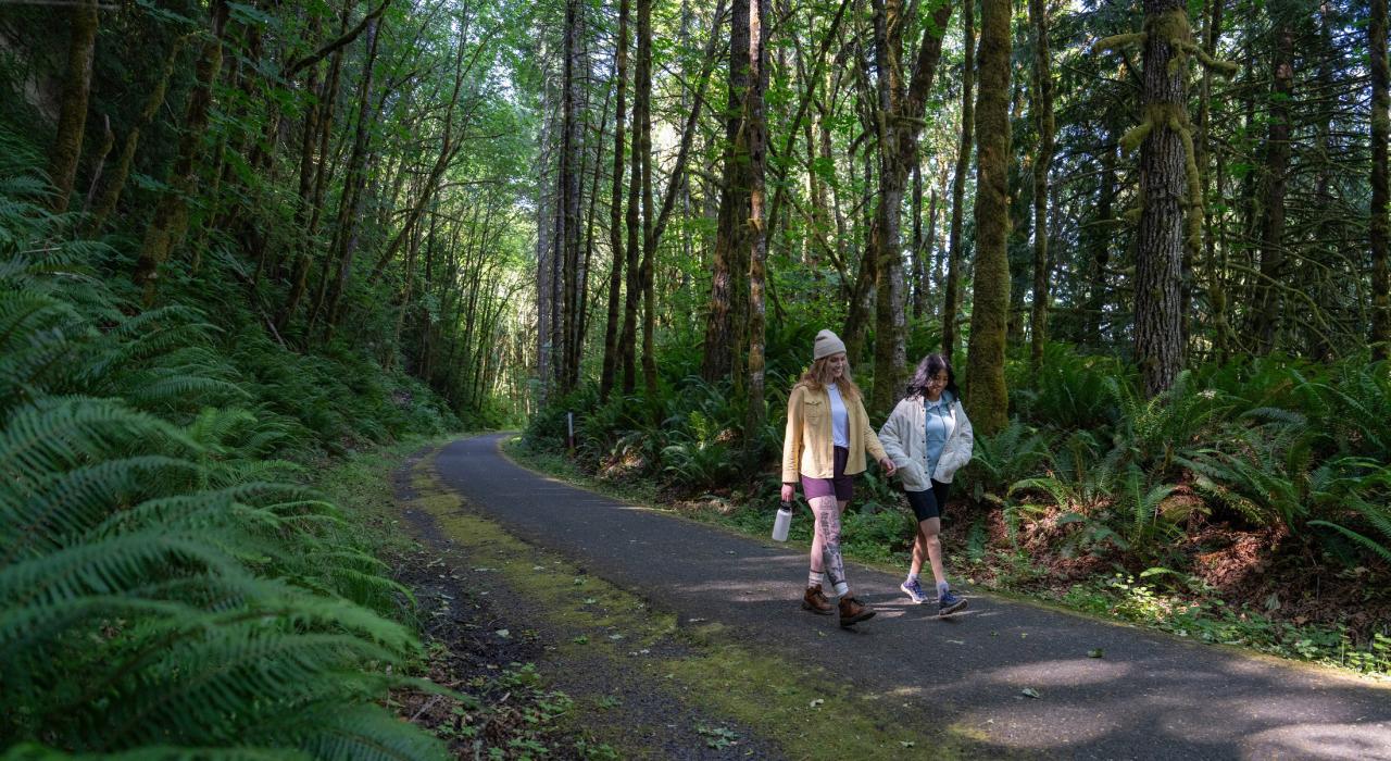 Wandering serene forest trails at L.L. Stub Stewart State Park in Buxton