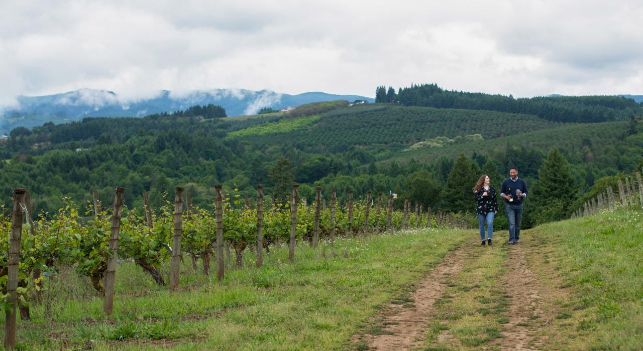 Incredible views at Tualatin Estate Vineyards in Forest Grove