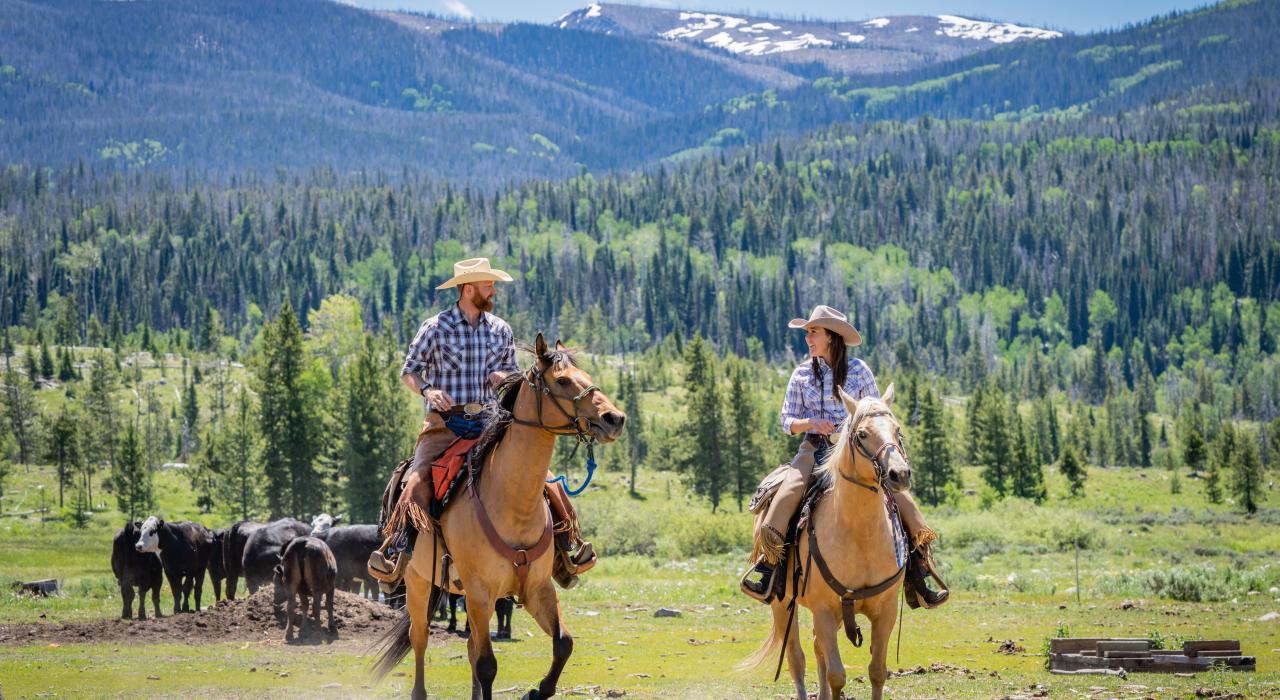 Horseback riding amid mountain scenery on a Colorado dude ranch