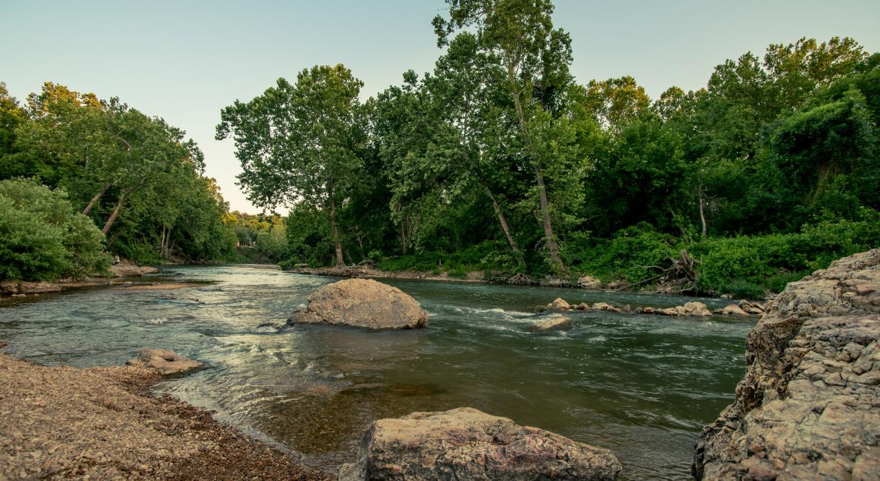 野猫林保护与奥杜邦中心的浅滩溪