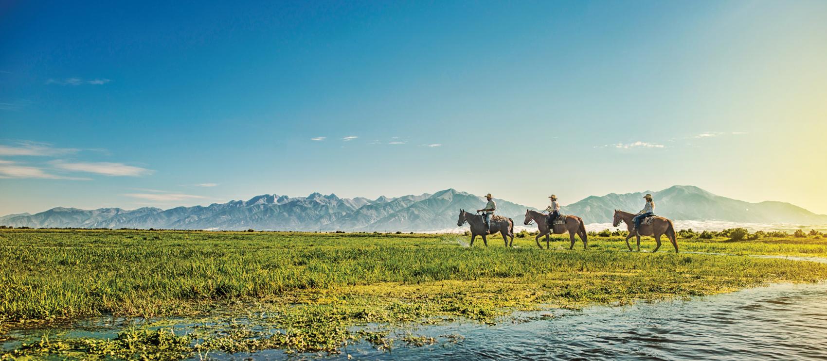 Touring Great Sand Dunes National Park on horseback